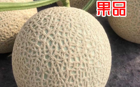 茄子价格行情_今日茄子价格多少钱一斤 _ 一亩田