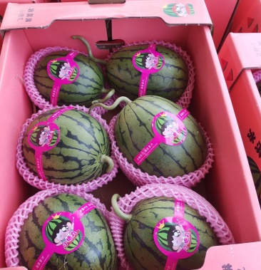 [西瓜批发]寒亭全美2k系列 超越梦想 l600 小糖丸子价格1.