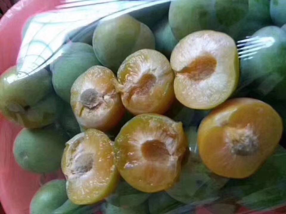 蜂糖李切面特写照片