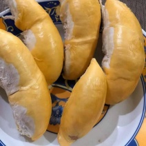 新采摘山大武里稀有品种