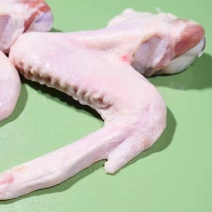 鹅翅膀批发鹅翅全翅鹅肉散养新鲜现杀冷冻滋补食材肉类