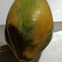 精选水果木瓜