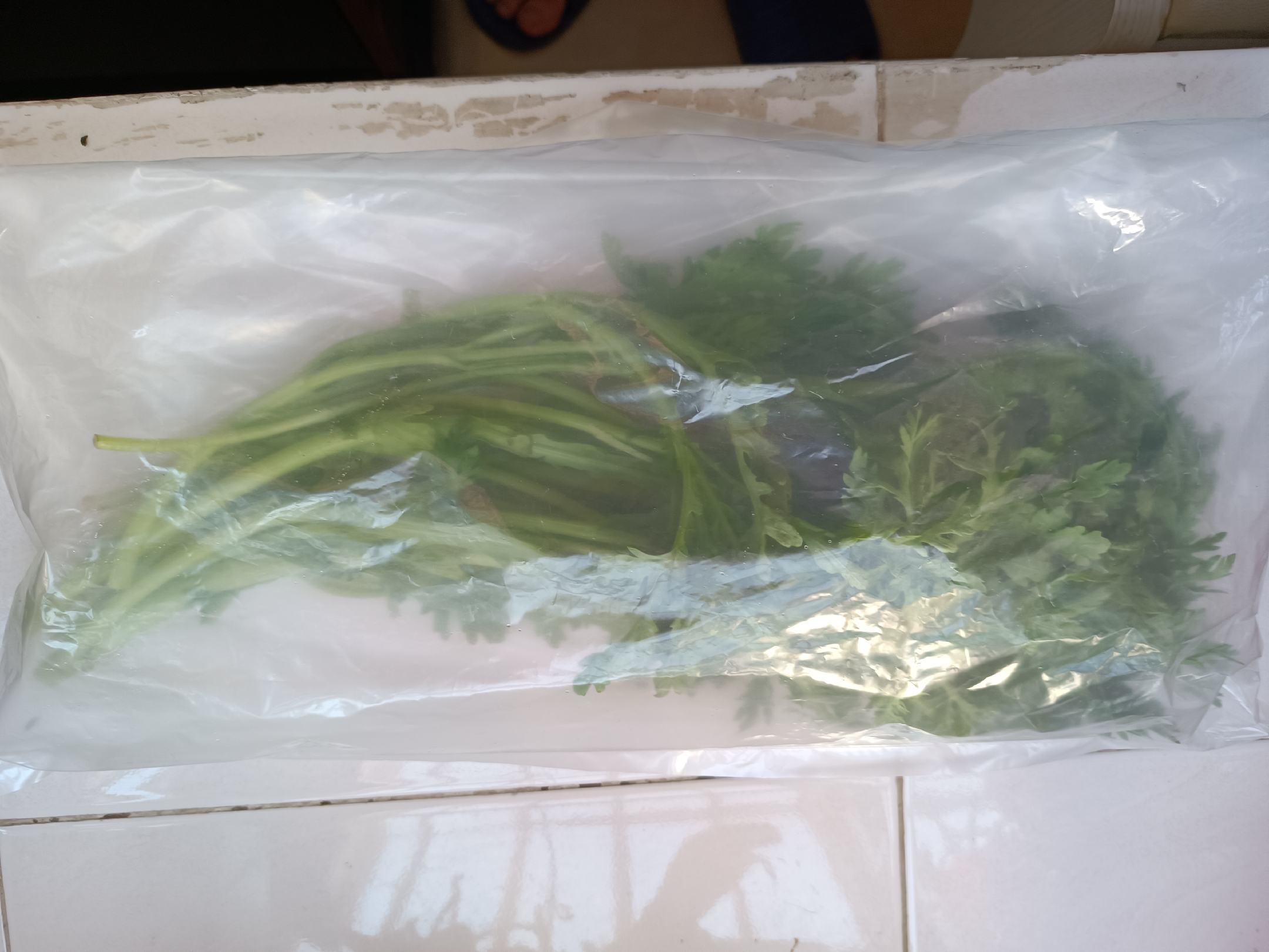 新鲜茼蒿与虾米特写