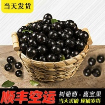 嘉宝果