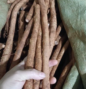 [牛大力批发]大叶粉质牛大力价格9.00元/斤 - 一亩田