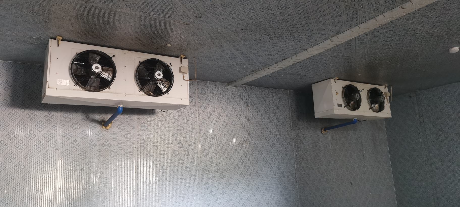 现代厨房中龙眼储存在玻璃罐和保鲜盒中的场景