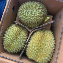 正宗榴莲产地直发