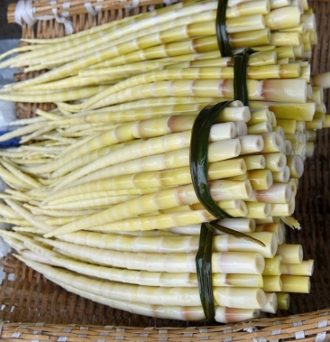 [竹笋批发]刺竹笋价格20.00元/斤 - 一亩田