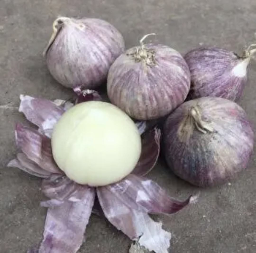 剥独头蒜的最快方法