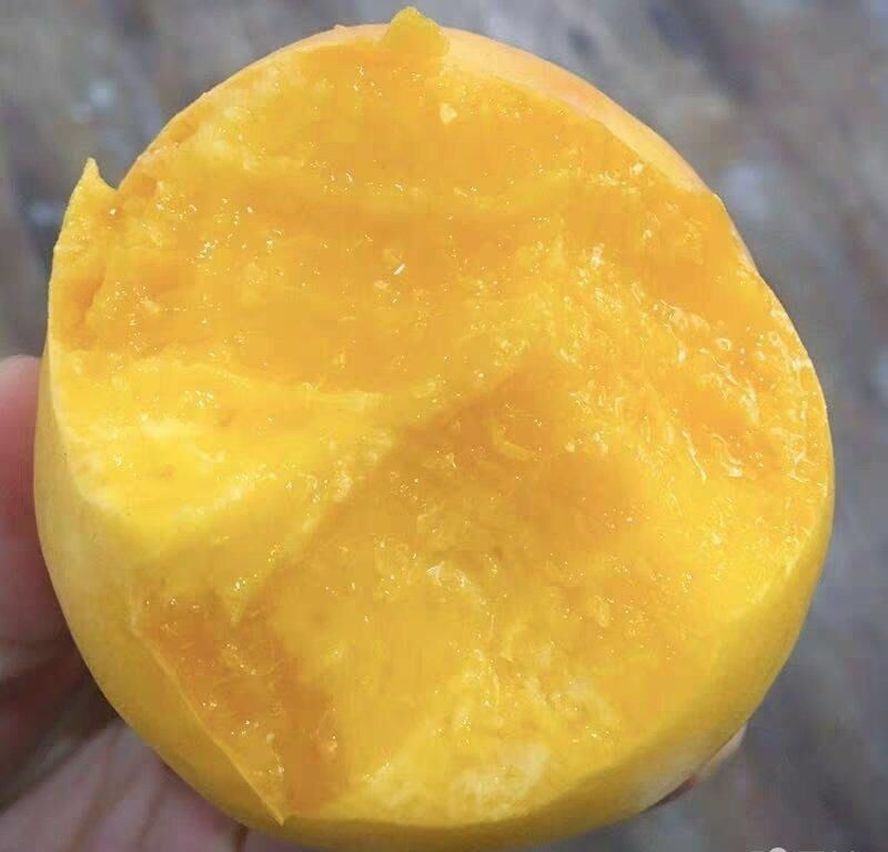 中油8号油桃切开特写图