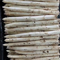 山东潍坊市坊子区露天芦笋已上市需要的联系我