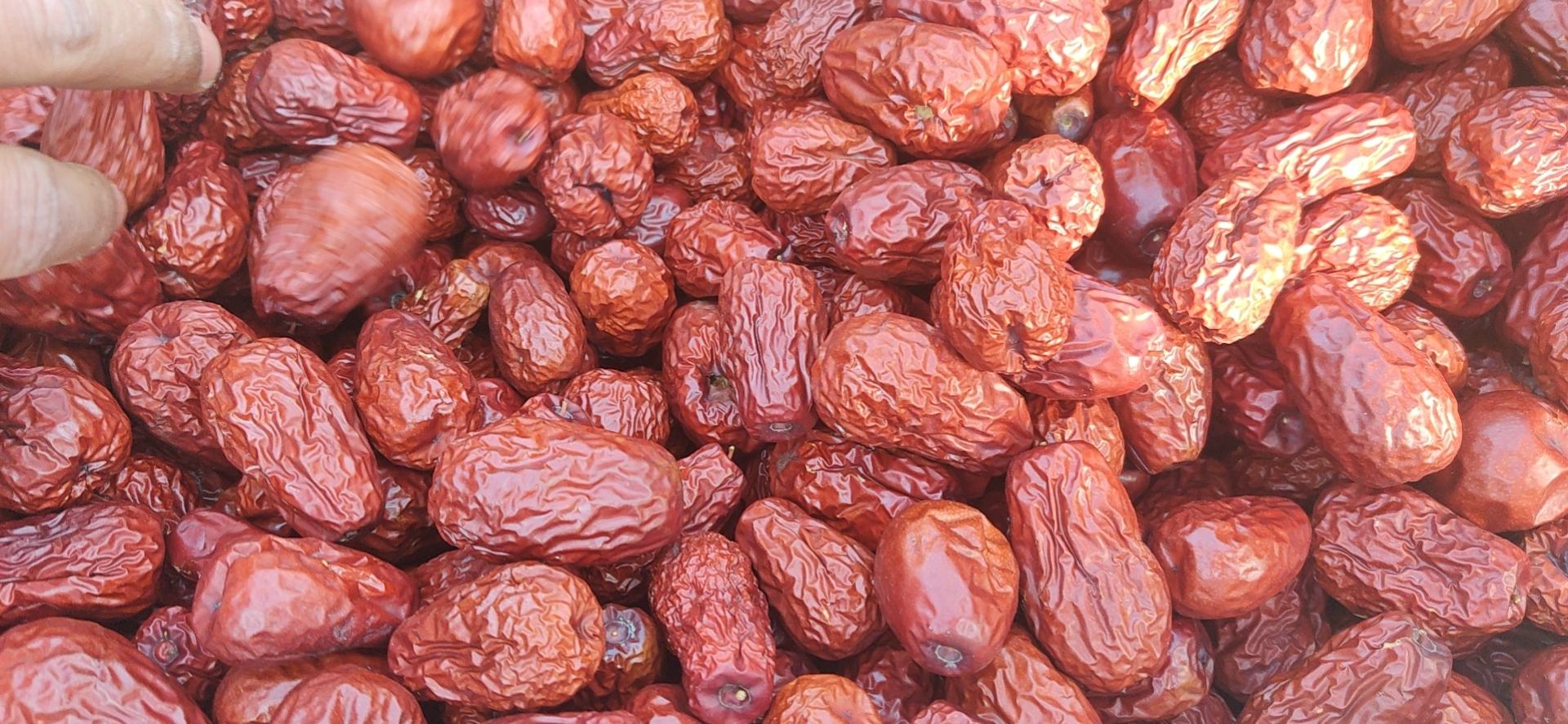 创意构图:山东枣饽饽三种经典吃法横向对比,突出食材本真与烹饪延展性,体现骏枣在不同形态下的风味表现力 山东枣饽饽三种吃法对比图:左-原味掰开展示蓬松枣泥夹心;中-煎制后金黄脆边特写;右-与小米粥同煮的暖色碗装呈现