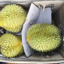 应季榴莲下单秒发