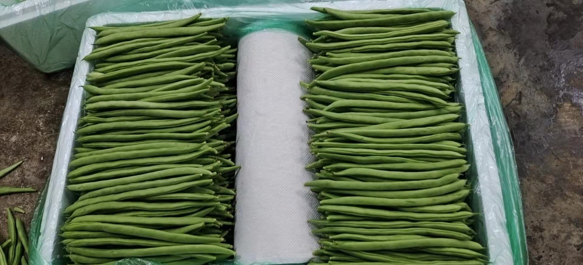 四季豆炒制过程图