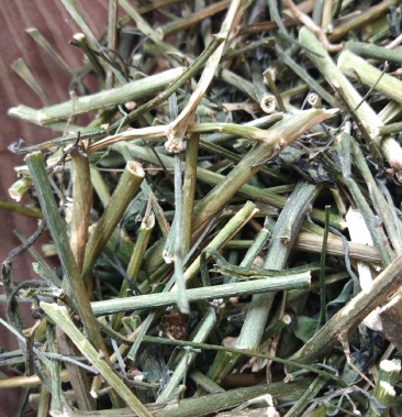 龙葵草中药材龙葵天茄子野生龙葵黑天天龙葵新货晒干500g