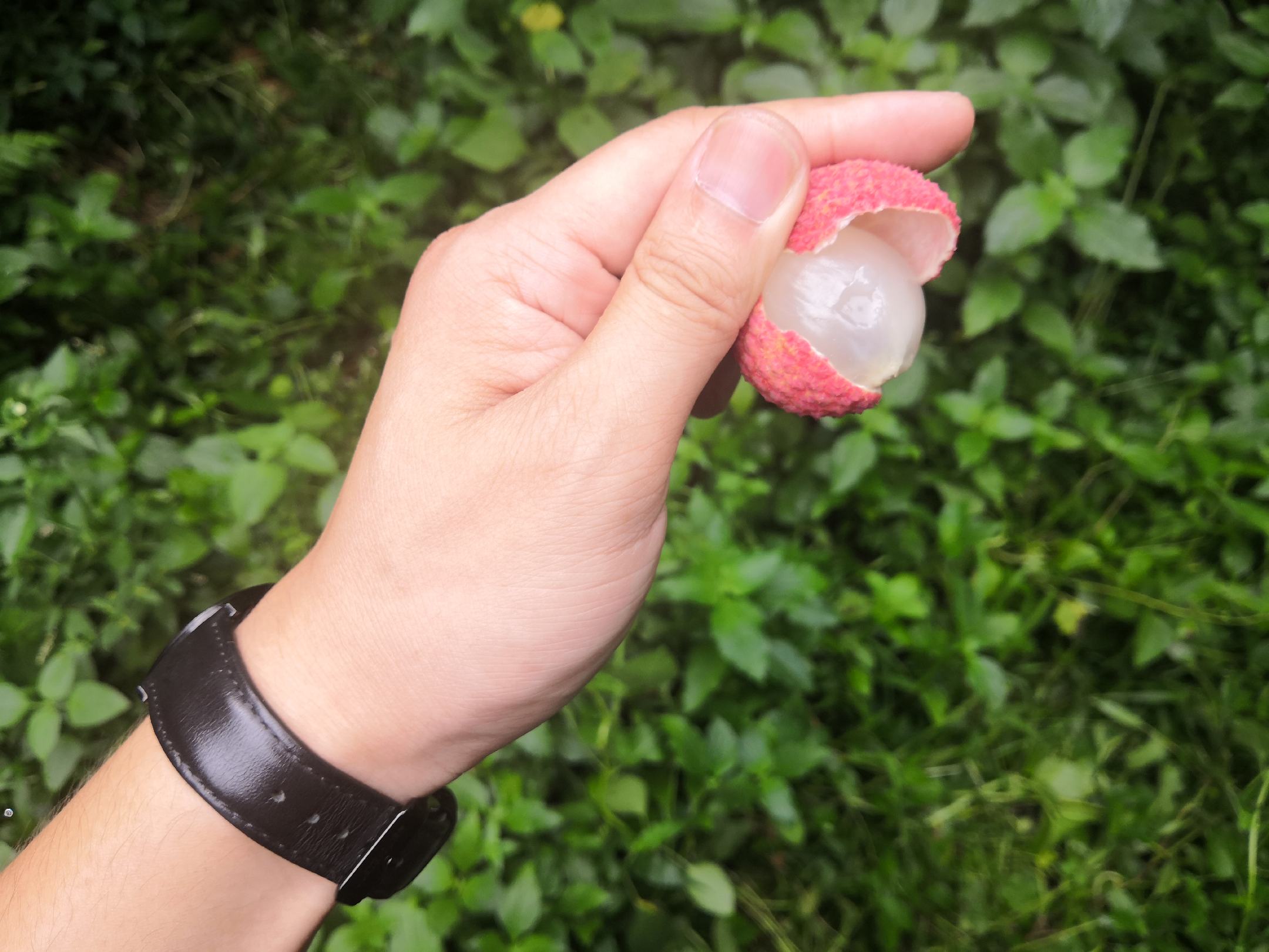 手部特写展示剥荔枝后手指变黄的现象