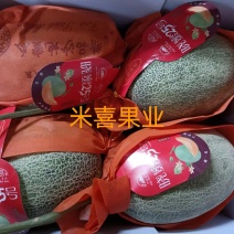 海南产地直发17号西州蜜，25号小蜜，金色年华，金红宝…