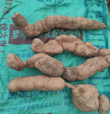 00元/斤 - 一亩田