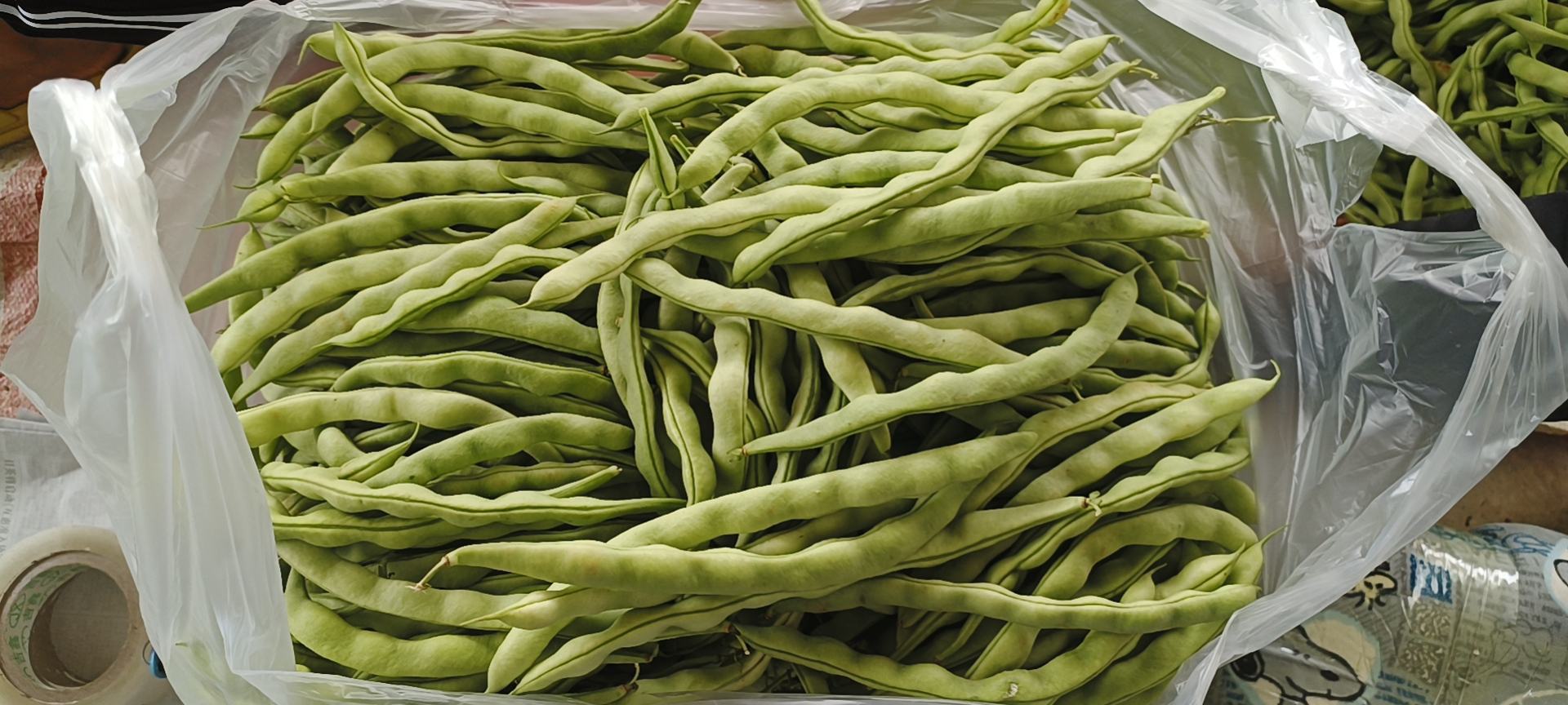 一盘热气腾腾的无筋豆包子,色泽洁白,皮薄馅香 无筋豆包子成品图