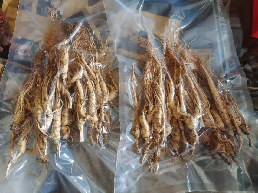 野山参分装保存示意图