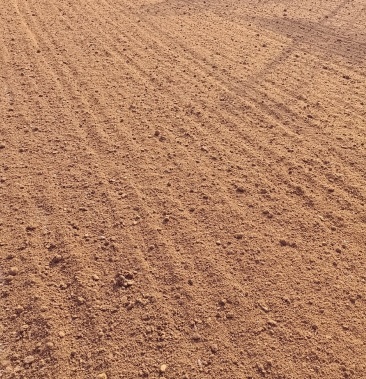 [苹果渣批发]苹果渣价格1250.00元/吨 - 一亩田