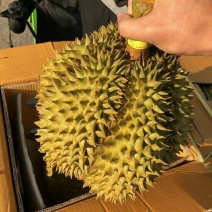 榴莲源头供应诚信经营
