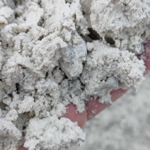 厂家直销玉米油渣粉。畜禽的附属饲料，保证质量