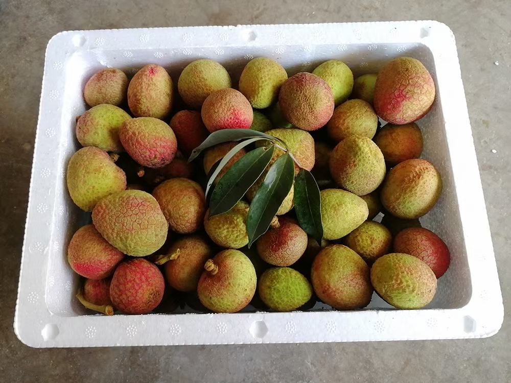 一家大型超市的水果区,陈列着多个包装精美的三月红荔枝礼盒,每盒内荔枝排列整齐,果色红润,标签标明‘早春首荔’‘产地直发’等宣传语,吸引顾客驻足选购 超市货架上摆放整齐的新鲜三月红荔枝礼盒