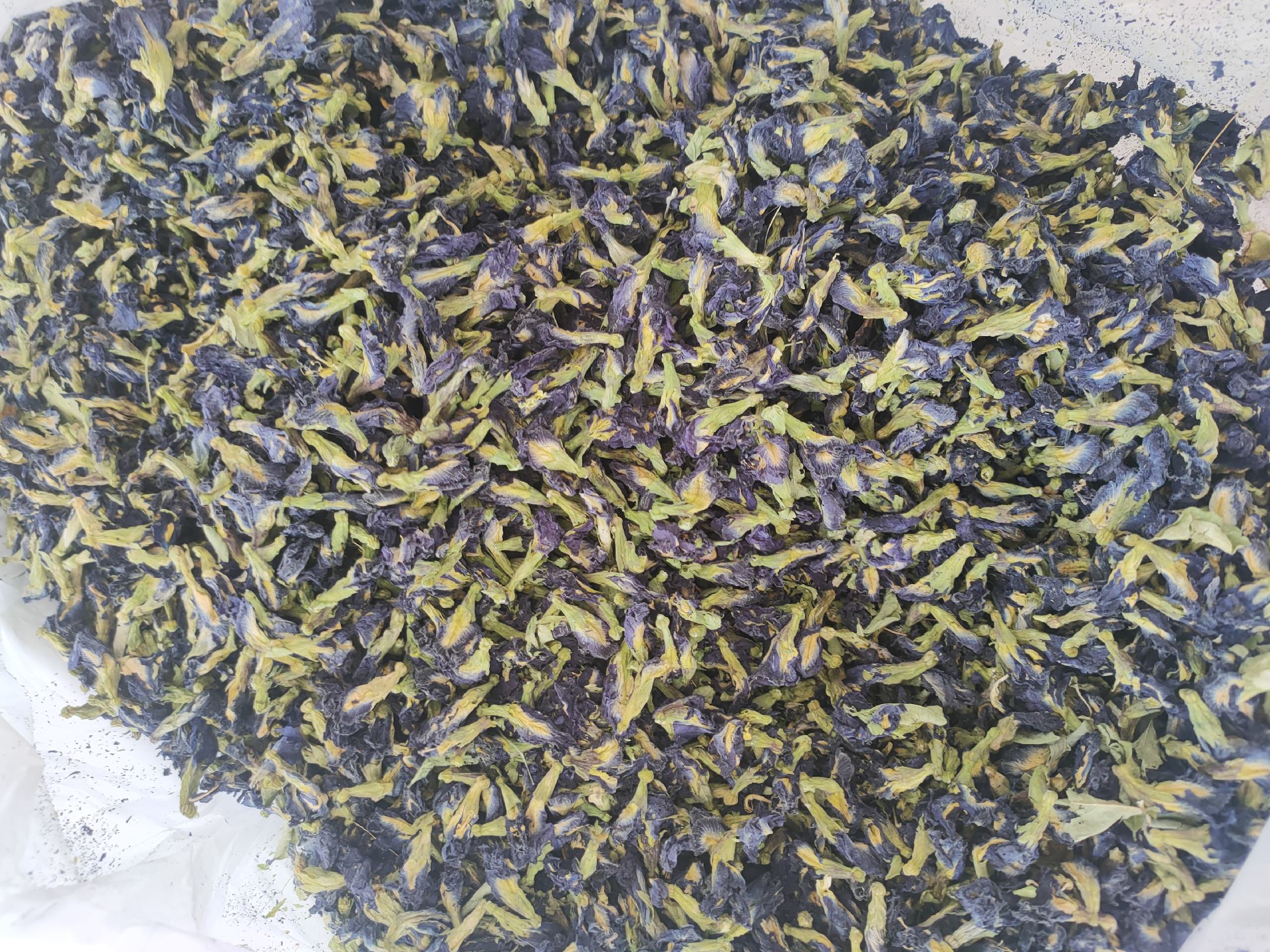 蜜柚茉莉花茶成品展示
