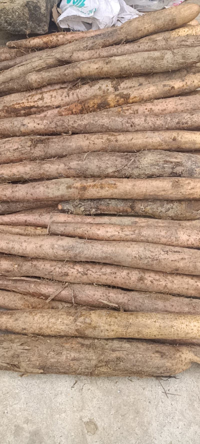 广西淮山(广山药)片