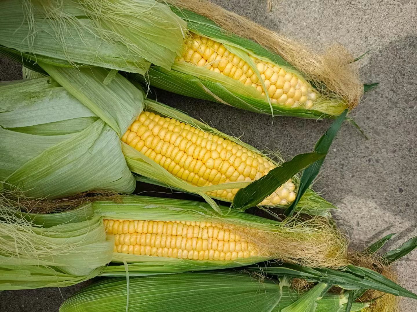 素食者饮食搭配示意图