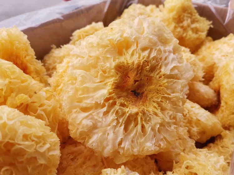 一碗热气腾腾、色泽金黄的木瓜银耳糖水特写图片 木瓜银耳糖水成品图