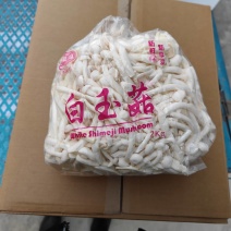 食用菌