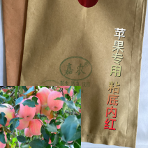 苹果专用寒富苹果粘底内红