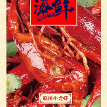 麻辣小龙虾一手货源诚信合作欢迎客户来电咨询