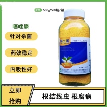 施土金杀菌杀虫根线虫大蒜蔬菜噻唑膦10%地下害虫