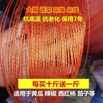 吊秧绳大棚蔬菜吊绳黄瓜吊绳西红柿吊绳辣椒吊绳番茄轮胎吊线