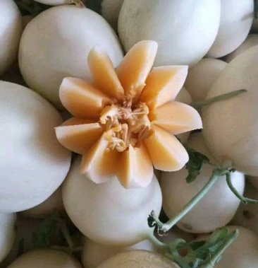 甜红玉已大量上市欢迎选购对接各大电商供应市场档口