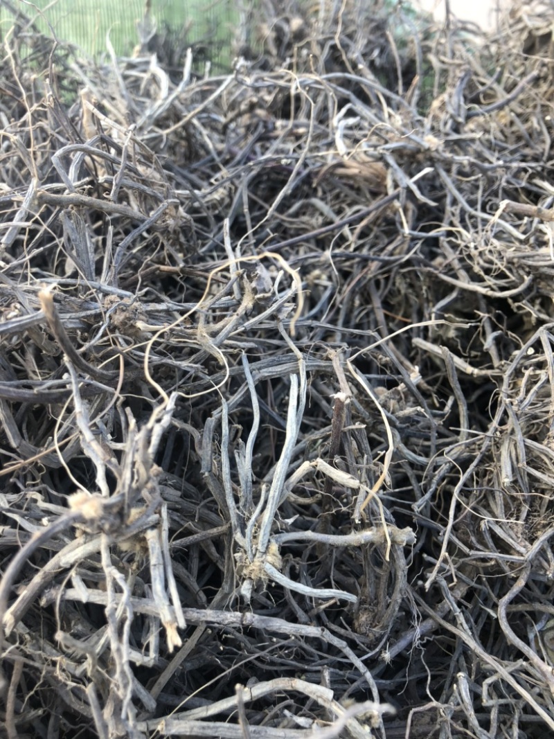 [威灵仙批发]云南文山丘北县威灵仙 20.00元/斤微灵仙 野生 _ 一亩田