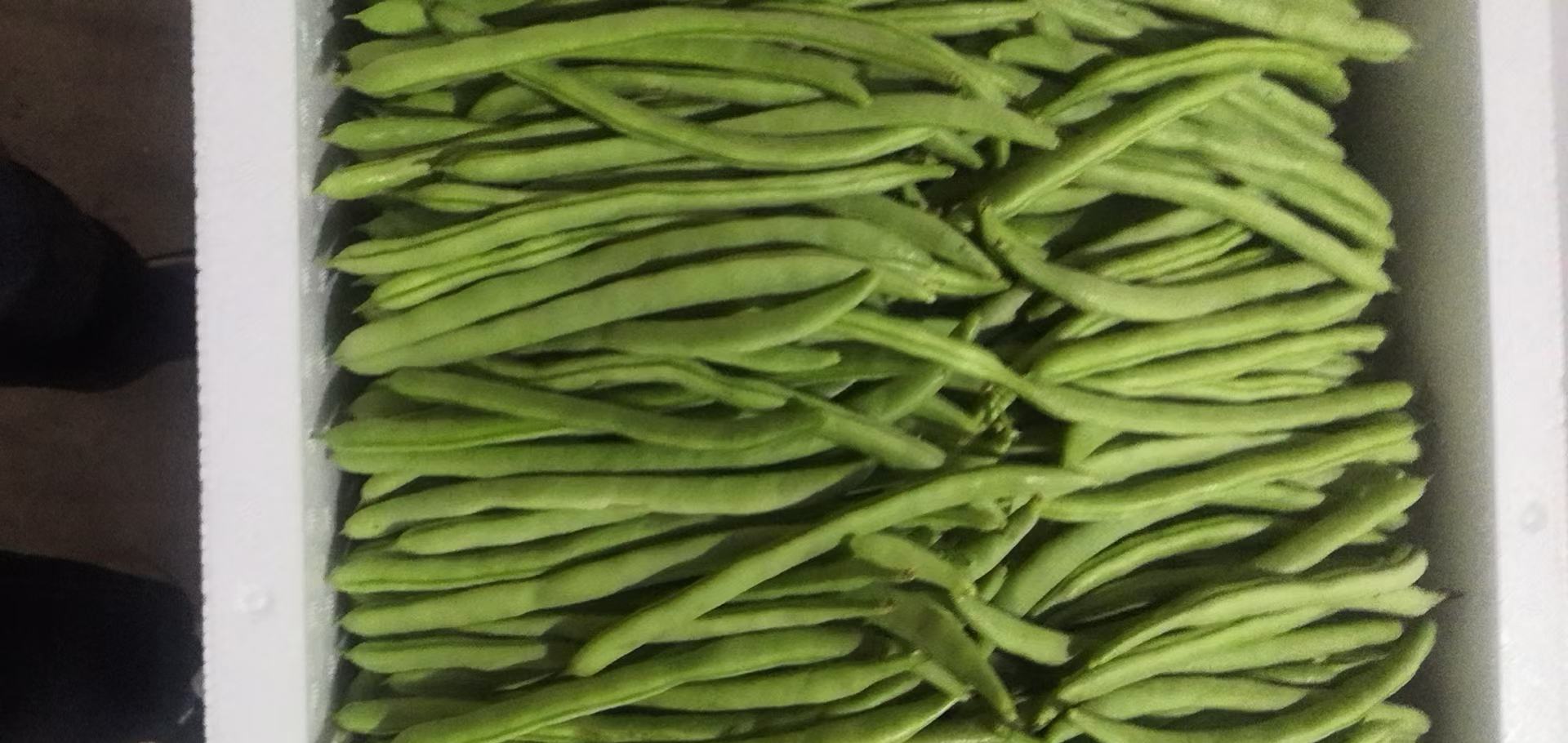 冷冻四季豆分装保存的示意图