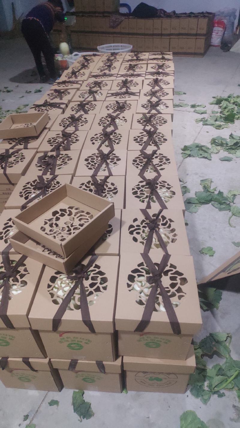 甜瓜,白瓜西薄洛托