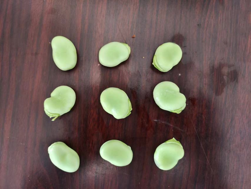 云豆147深加工产品展示图