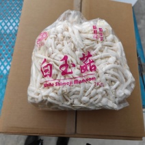 散白玉菇