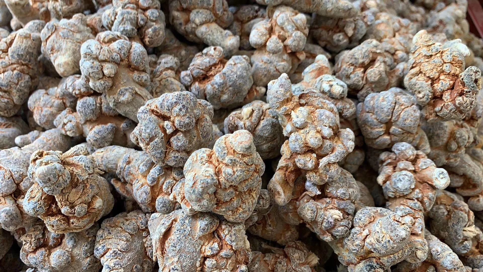 三七粉与水溶性皂苷