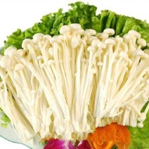 金针菇