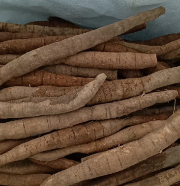 牛大力新鲜牛大力牛大力鲜货