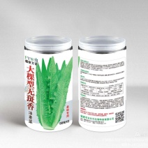 大棵型无斑香油麦菜种子，基地专用，高产好吃，