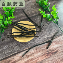 苦丁茶新茶正品苦丁茶泡水养生
