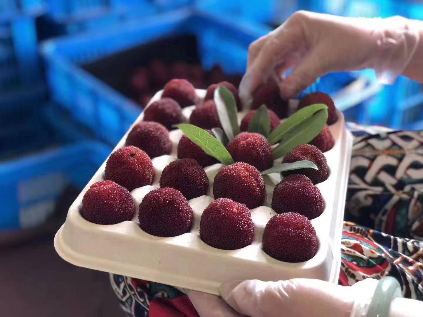 一盘新鲜的东魁杨梅摆放在木质托盘上,旁边有杨梅酒和杨梅酱作为搭配展示 东魁杨梅果盘展示图