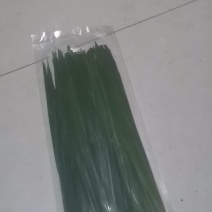 芦苇叶